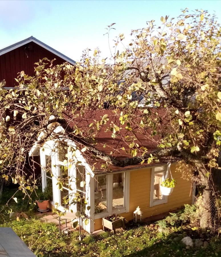 Foggy Island B&B Kasko Dış mekan fotoğraf